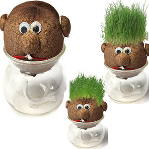 Mini DIY Magic Grass Plant Pot Grass Head Doll Indoor Potted Plant