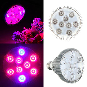 27W E27 Red + Blue LED Plant Grow Light Lamp Flower Hydroponic Globe Bulb 85-265V