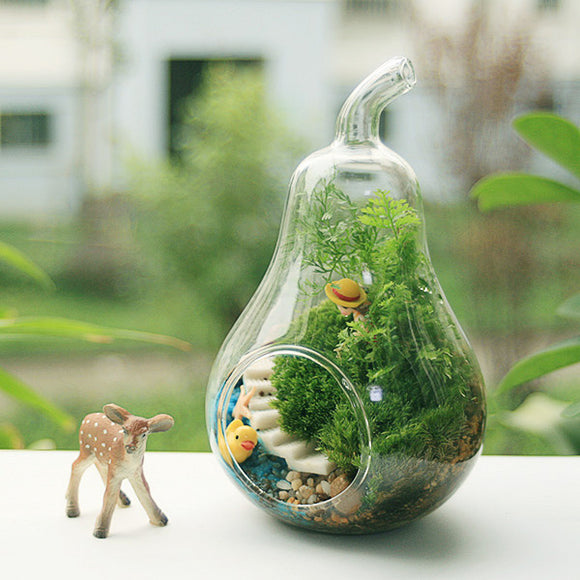 Pear Shape Flower Glass Vase Moss Micro Landscape Eco Bottle