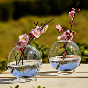 Hydroponic Plants Hanging Ball Shape Glass Vase Home Garden Decor