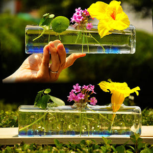 Cylinder Shape Flower Hydroponic Plants Glass Vase Home Decor