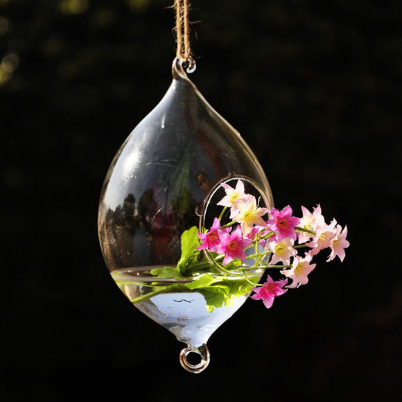 Hanging Olive Shape Glass Vase Hydroponic Plants Garden Flower Pot