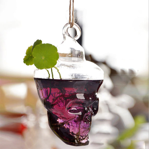 Hydroponic Plants Garden Flower Pot Skull Shape Hanging Glass Vase