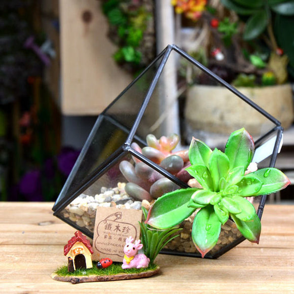 DIY Micro Landscape Cube Greenhouse Glass Succulent Plants Flower Pot