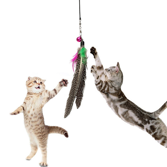 Pet Cat Toy Feather Teaser Plastic Wand Toy Teasers With Bell For Cat Play Fun