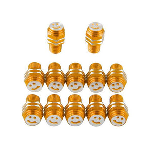 12 PCS Universial Aluminum Alloy Smiley Face Shaped Tire Valve Stems for Car Truck Bike ATV