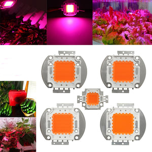 10W 20W 30W 50W 100W 380NM-840NM Full Spectrum High Power LED Chip Grow Light