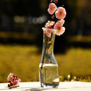 Flower Hydroponic Plants Shelving Glass Bottle Vase Home Garden Wedding Party Decoration