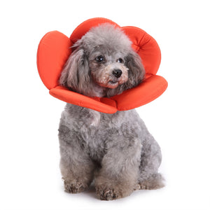 Flower Shape Dog Cat Collar Pet Elizabeth Circle Wound Healing Medical Anti-Bite Collar