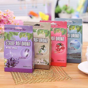 Natural Sachet Bathroom Kitchen Car Wardrobe Air Freshener Indoor Deflavour Deodorization Sachet