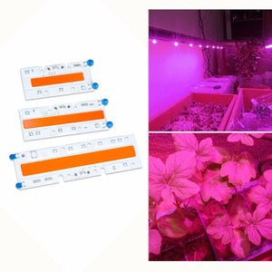 30W/50W/70W High Power Full Spectrum LED Grow COB Light Chip for Plants Vegetable AC110V/AC220V