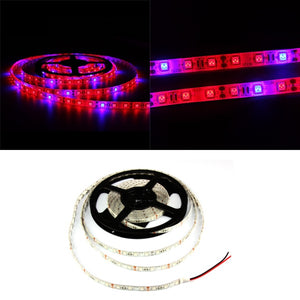 1M 2M 3M 4M 5M 3:1 5050 SMD LED Waterproof Hydroponic Plant Grow Strip Light DC12V