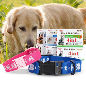 4 in 1 Anti Fleas Ticks Mosquitoes Flea Eggs Pet Dog Cat Collar Eco-Friendly Waterproof Flea Collar