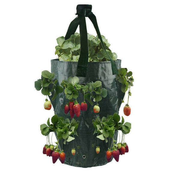 3 Gallon Strawberry Plant Grow Bag Garden Hanging Pouch Flower Herb Bags