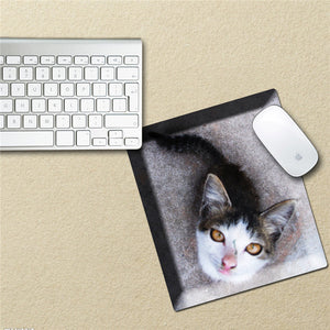 Mouse Pad Sticker Mouse Mat Decals PAG Waterproof Removable Kitten Stickers Cat Home Decor Gift