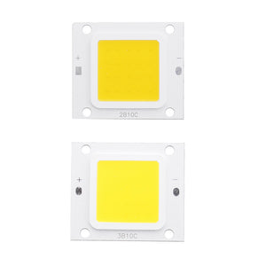 20W/30W/50W Warm White/White 3000K / 6000K LED Flood Light COB Light Led Chip DC30-34V