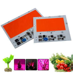 100W/150W 380-840nm Full Spectrum Plant Grow COB Led Chip Light 100-110lm/W AC180-300V