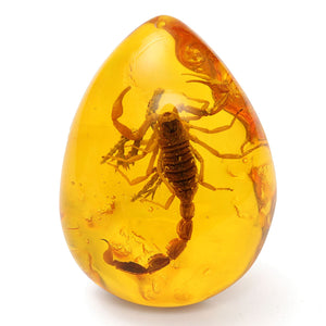 Insect Stone Scorpions Inclusion Amber Baltic Pendant Necklace Decorations