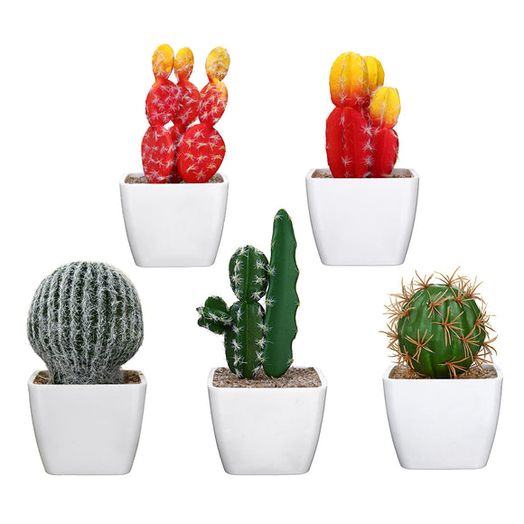 Simulating Cactus Bonsai and Simulating Creative Car Ornaments of Mock Succulents Plants