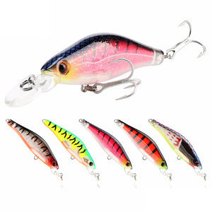 SeaKnight SK043 5PCS 6.5g 65mm Fishing Lure 0-1.2M Suspending Wobblers Hard Baits Carp Lure