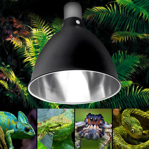 E27 Ceramic Heat UV UVB Lamp Light Holder Reptile Tortoise Lampshade with Switch