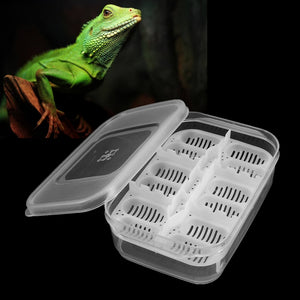 12 Reptiles Eggs Incubator Tray Gecko Snake Bird Amphibians Hatching Case Breeding Tools Box