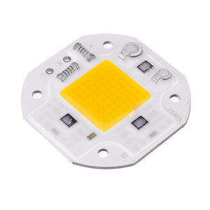 20W Warm/White DIY COB LED Chip Bulb Bead For Flood Light AC180-240V