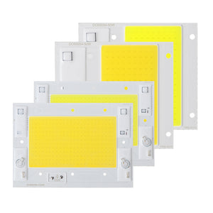 LUSTREON 50W 100W Pure White/Nature White Thunder Protection COB LED Chip for Flood Light AC220-240V