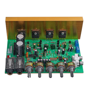 OK Amplifier 2.0 Channel 100W+100W with Reverberation High Power Amplifier Board