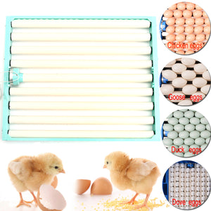 220V Chicken Eggs Incubator Automatic Duck Quail Bird Poultry Egg Incubator Tray